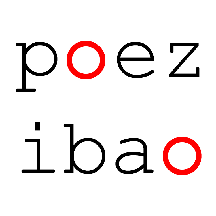  Poezibao - L'âpre beauté des poèmes de Denis Rigal